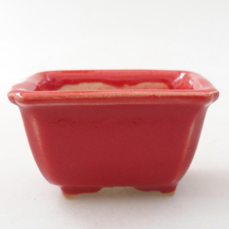 Mini-Bonsaischale 4 x 3,5 x 2,5 cm, Farbe Rot