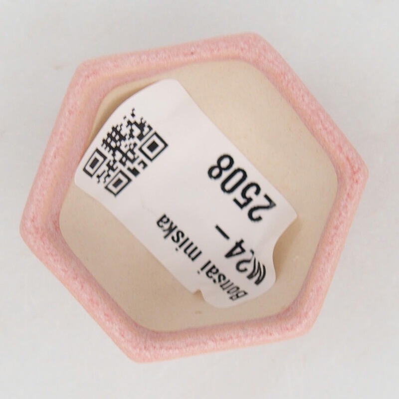 Mini-Bonsaischale 4 x 3,5 x 2,5 cm, Farbe rosa