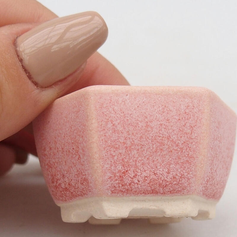 Mini-Bonsaischale 4 x 3,5 x 2,5 cm, Farbe rosa