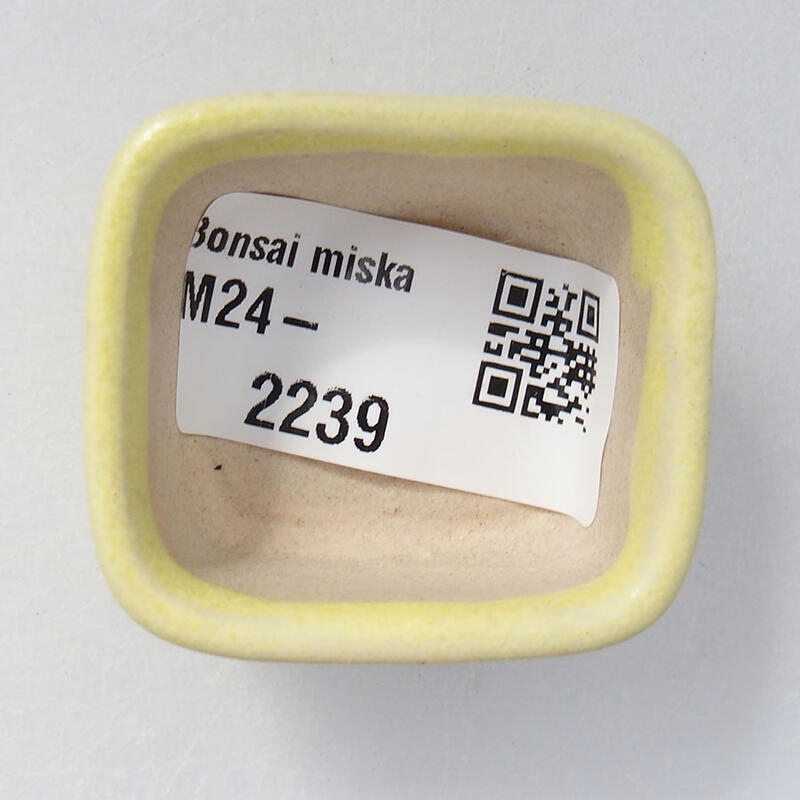 Mini-Bonsaischale 4 x 3,5 x 2 cm, Farbe gelb