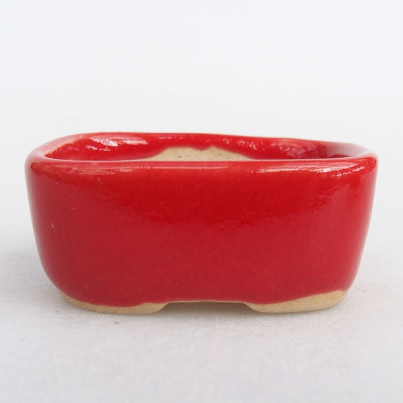 Mini-Bonsaischale 4 x 3 x 1,5 cm, Farbe rot