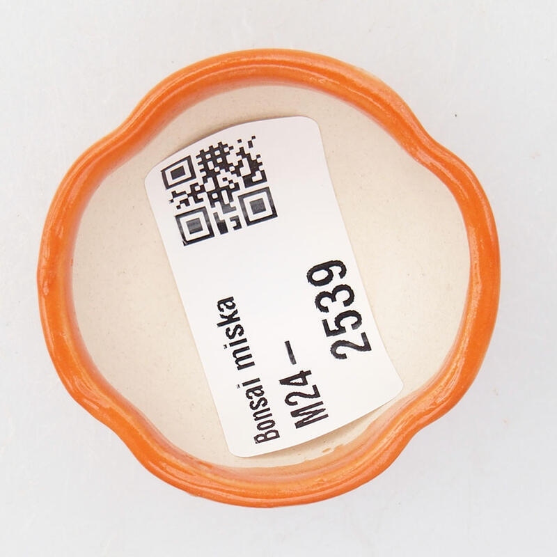 Mini-Bonsaischale 4 x 4 x 2,5 cm, Farbe Orange