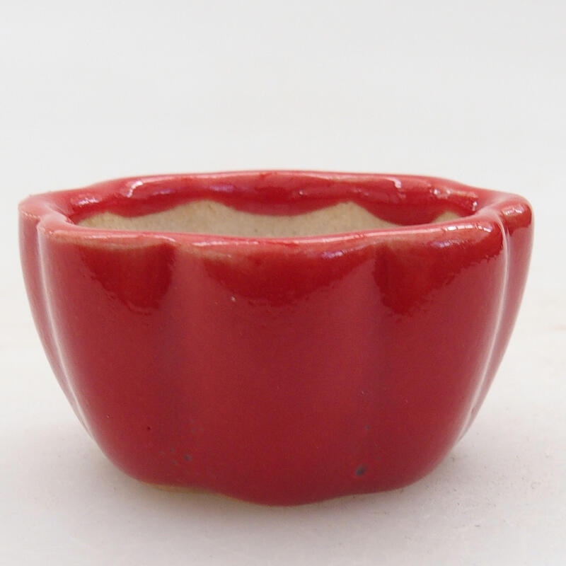Mini-Bonsaischale 4 x 4 x 2 cm, Farbe rot