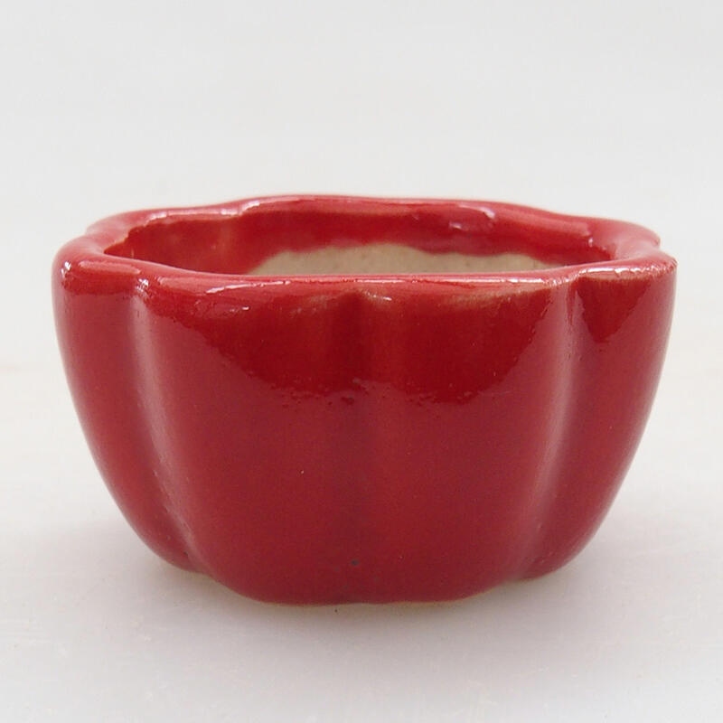 Mini-Bonsaischale 4 x 4 x 2 cm, Farbe rot