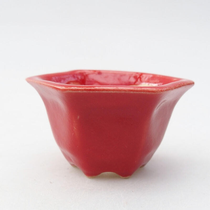 Mini-Bonsaischale 5,5 x 4,5 x 3 cm, Farbe Rot
