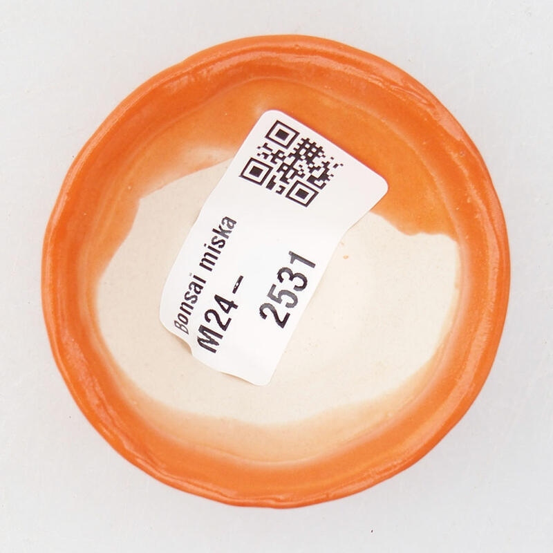 Mini-Bonsaischale 5,5 x 5,5 x 2,5 cm, Farbe Orange