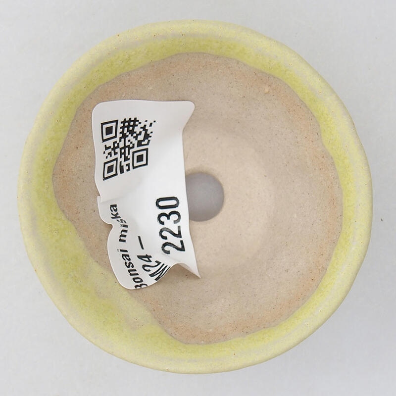 Mini-Bonsaischale 5,5 x 5,5 x 2,5 cm, Farbe gelb