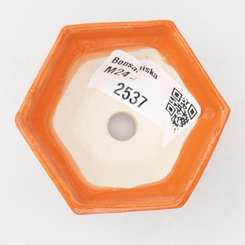 Mini-Bonsaischale 5,5 x 5 x 3 cm, Farbe Orange