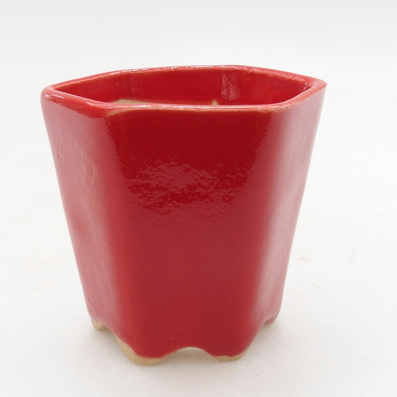 Mini-Bonsaischale 5,5 x 5 x 5 cm, Farbe Rot