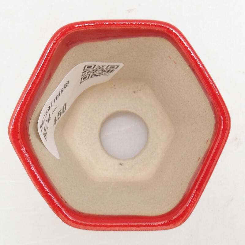 Mini-Bonsaischale 5,5 x 5 x 5 cm, Farbe Rot
