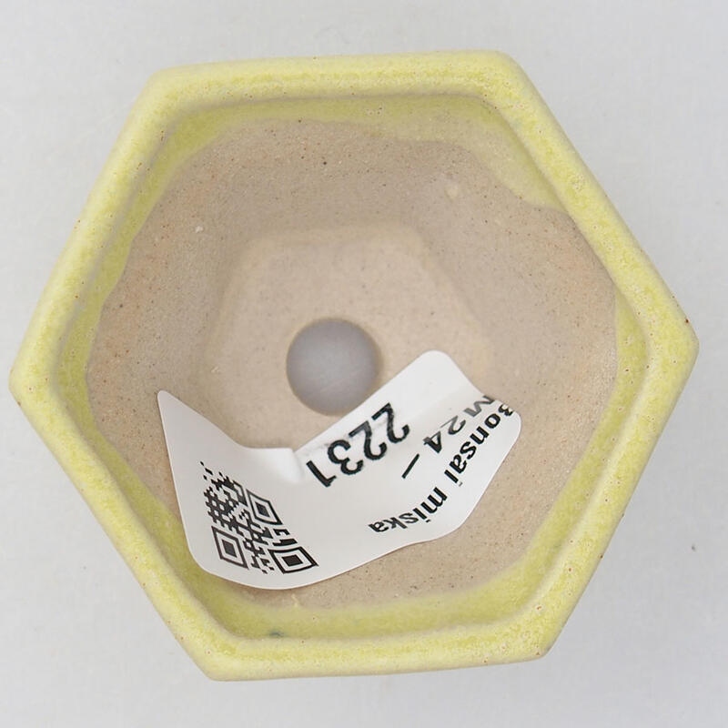 Mini-Bonsaischale 5 x 5 x 2,5 cm, Farbe gelb