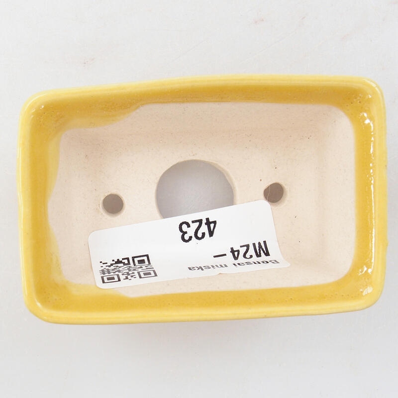 Mini-Bonsaischale 6,5 x 4 x 2,5 cm, Farbe gelb