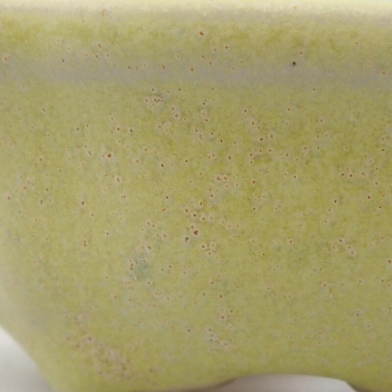 Mini-Bonsaischale 6,5 x 6,5 x 2,5 cm, Farbe grün