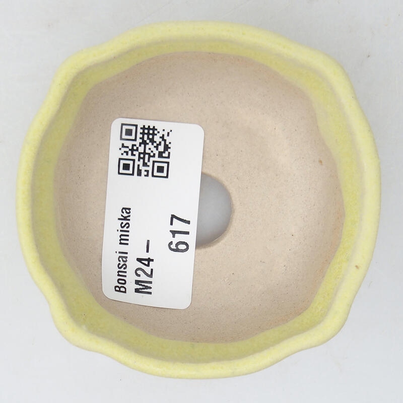 Mini-Bonsaischale 6,5 x 6,5 x 2,5 cm, Farbe grün