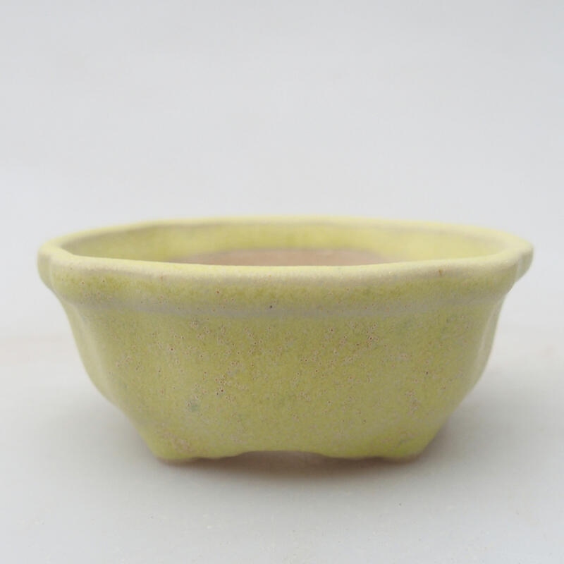 Mini-Bonsaischale 6,5 x 6,5 x 2,5 cm, Farbe grün