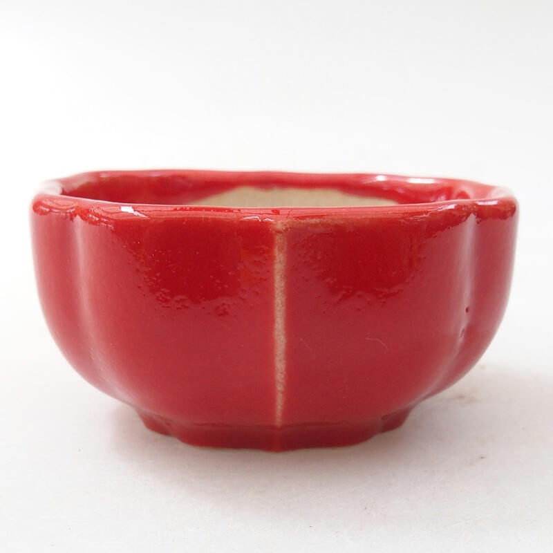 Mini-Bonsaischale 6 x 6 x 3 cm, Farbe rot