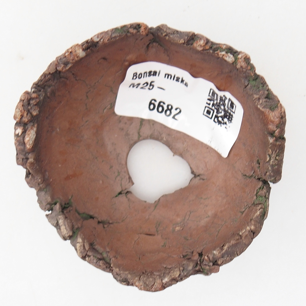 Keramische Muschel 7 x 7 x 4 cm , Farbe grün