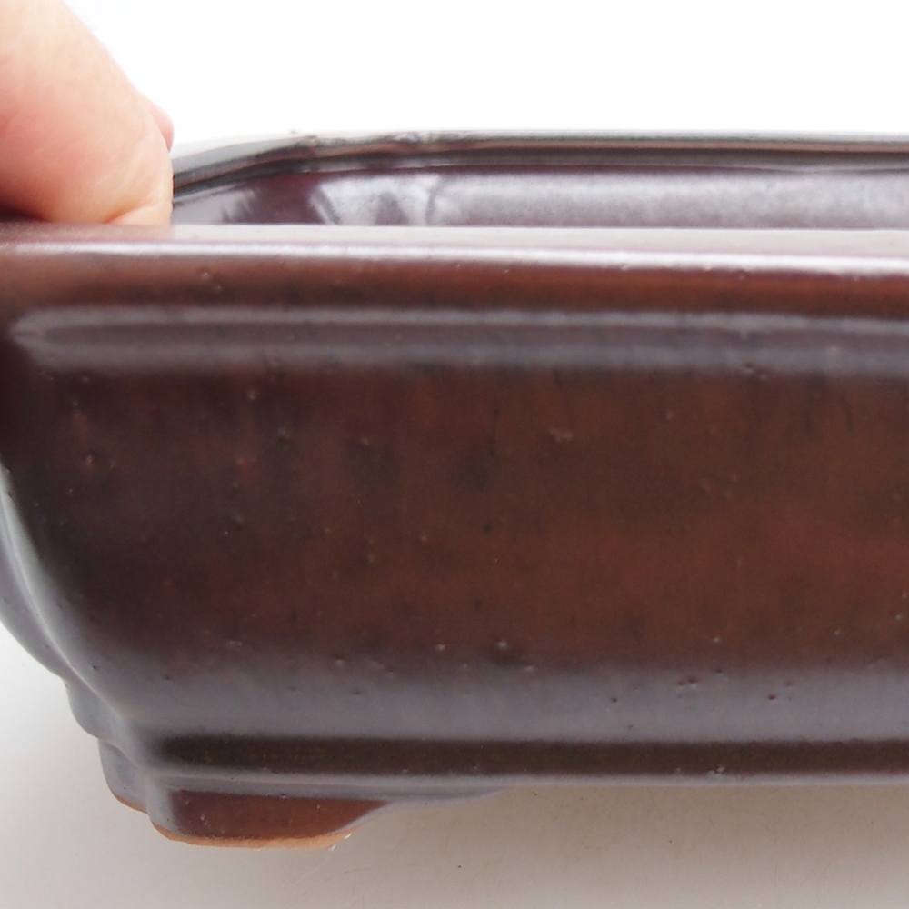 Bonsaischale aus Keramik 27 x 21 x 7 cm, Farbe schwarz-rot