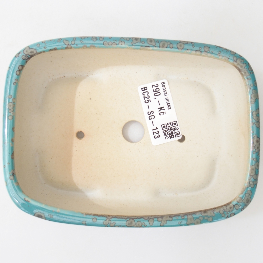 Schale 14,5 x 10,5 x 5 cm Farbe blau
