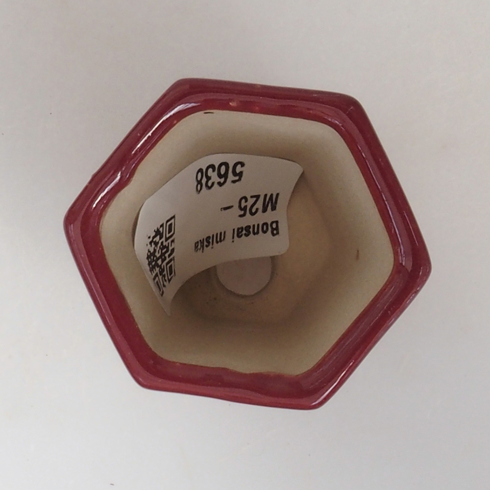 Mini-Bonsaischale 4,5 x 4 x 6 cm, Farbe Burgunder