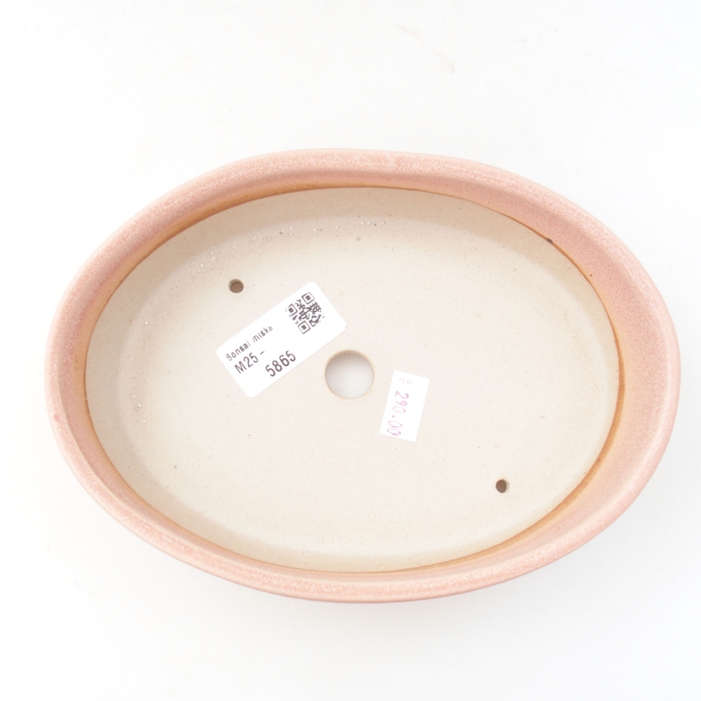 Keramik-Bonsaischale 18,5 x 13,5 x 4,5 cm, Farbe rosa