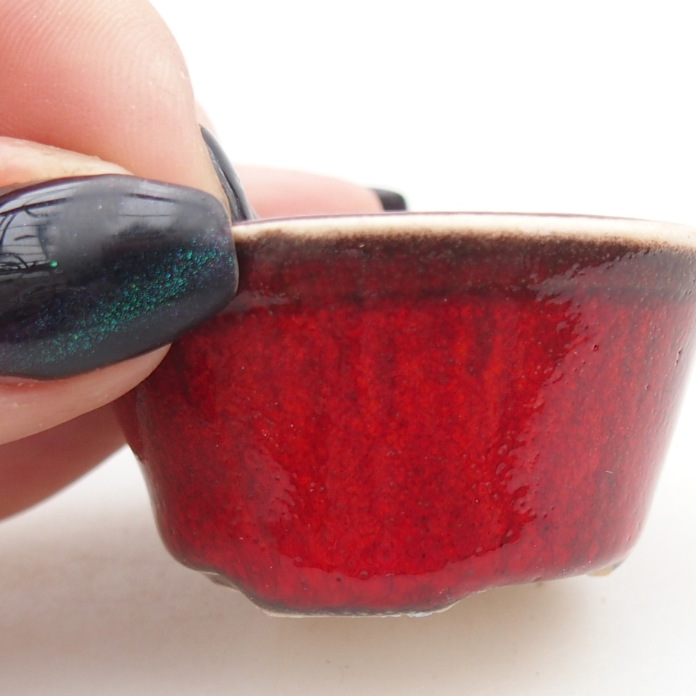 Mini-Bonsaischale 4,5 x 4,5 x 2,5 cm, Farbe rot