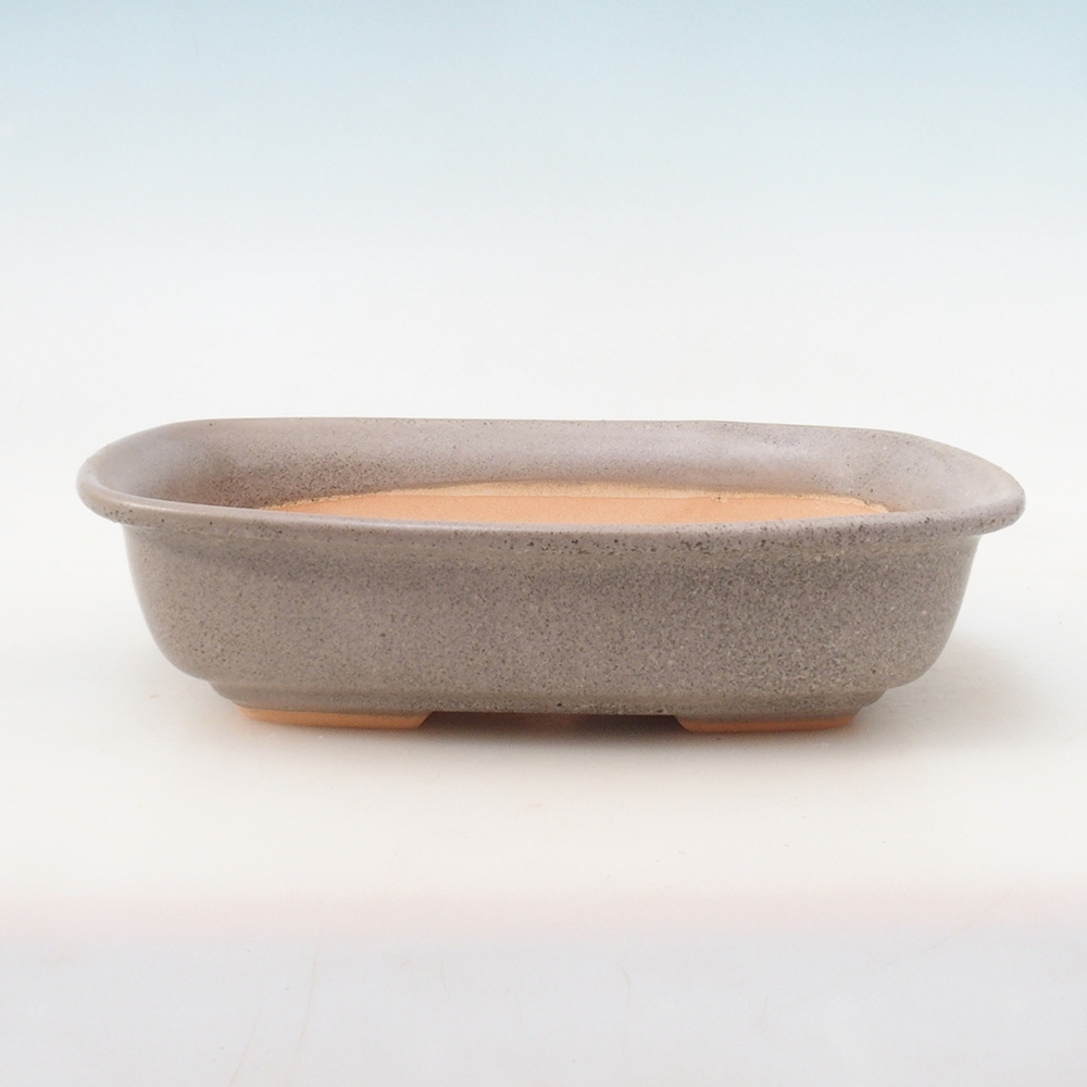 Bonsai-Schale H08 – 25 x 19,5 x 6 cm