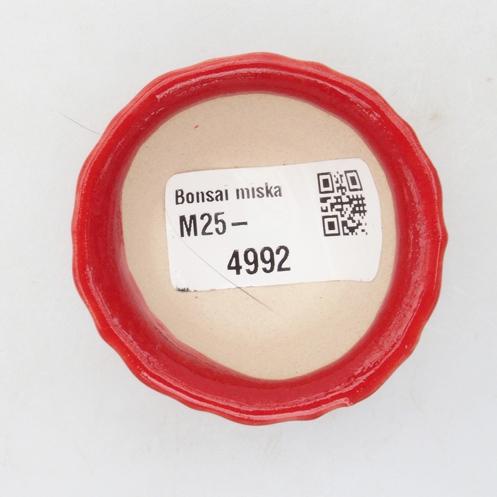 Mini-Bonsaischale 5 x 5 x 3 cm, Farbe rot
