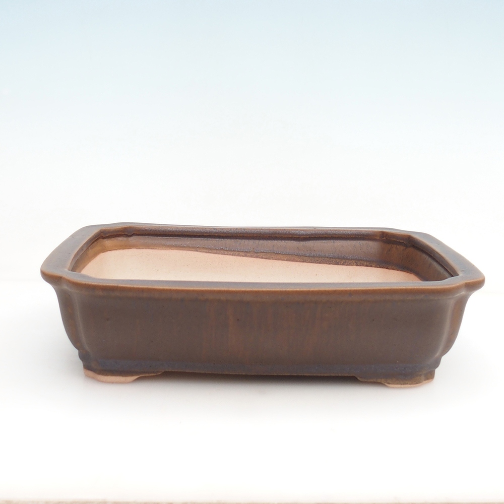 Bonsai-Schale H20 – 26,5 x 21,5 x 6,5 cm