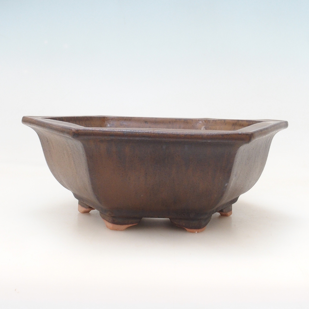 Bonsai-Schale H05 – 19 x 21,5 x 7 cm – braun