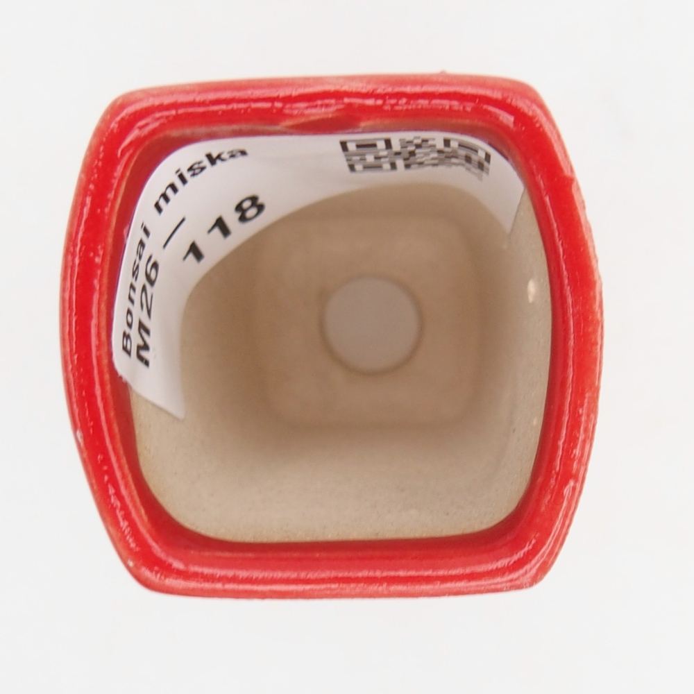 Mini-Bonsaischale 3,5 x 3 x 5,5 cm, Farbe rot