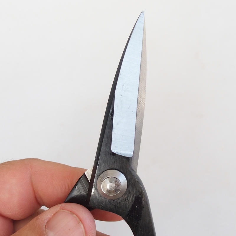 Schneideschere 195 mm - Carbon