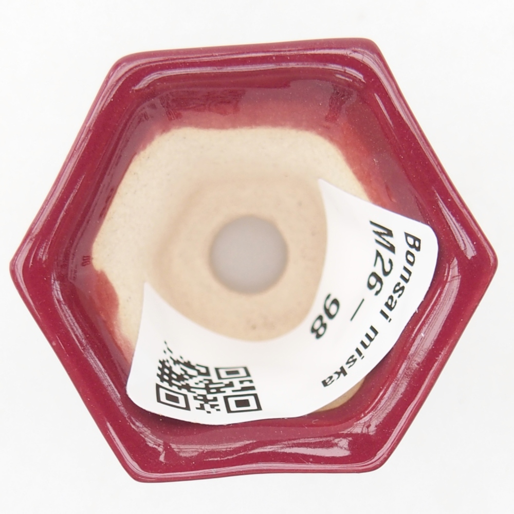 Mini-Bonsaischale 4 x 4 x 3,5 cm, bordeauxrot