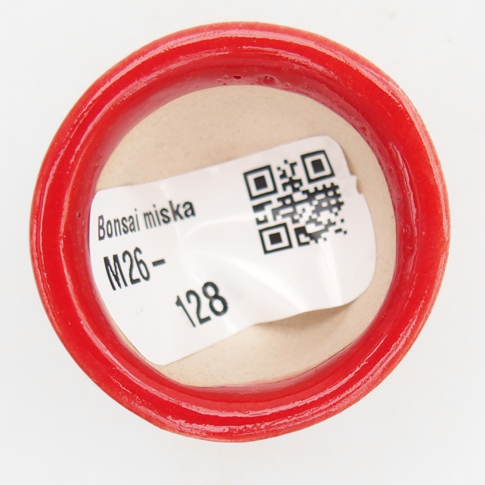 Mini-Bonsaischale 4 x 4 x 2,5 cm, Farbe rot