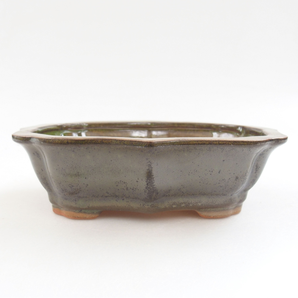 Keramik-Bonsaischale 15,5 x 11 x 4,5 cm, Farbe Grün