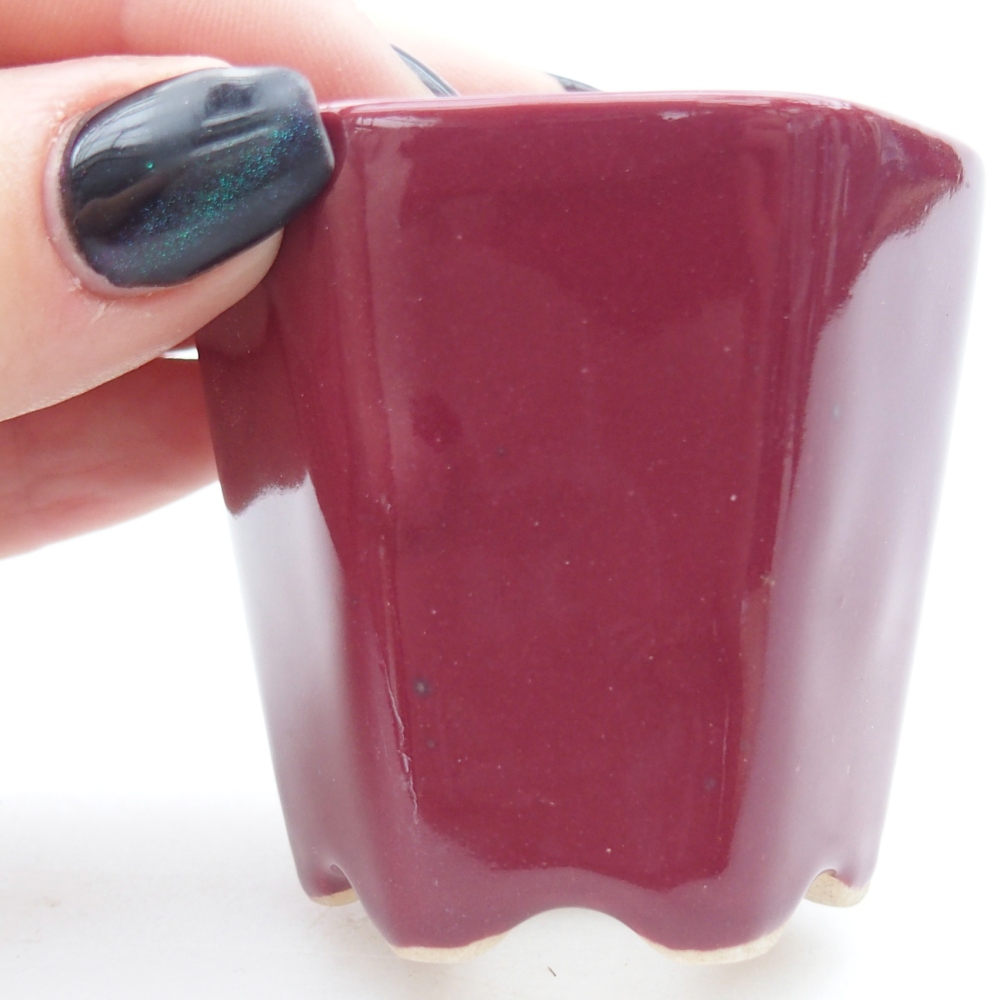 Mini-Bonsaischale 5,5 x 5 x 5 cm, Farbe burgunderrot