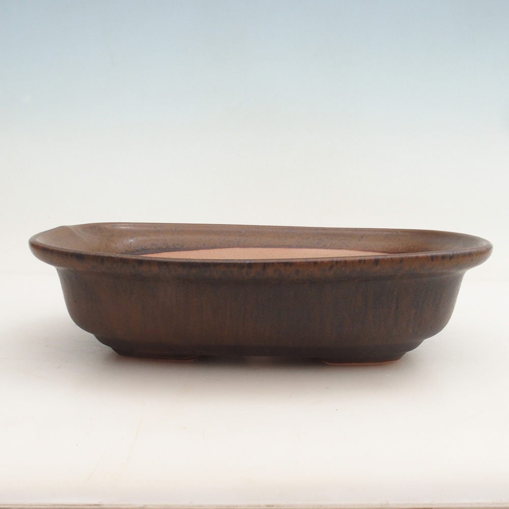 Bonsai-Schale H25 – 23 x 17 x 5,5 cm – braun
