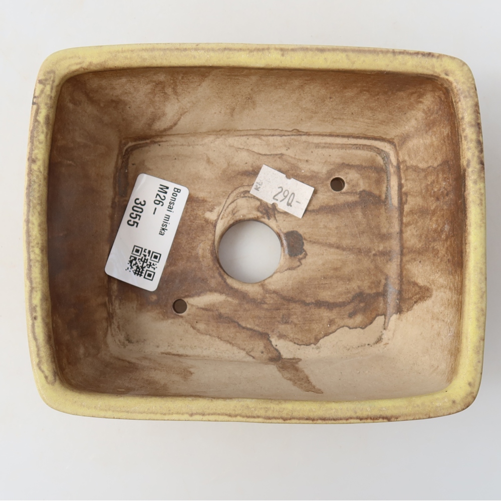 Keramik-Bonsai-Schale 15 x 12,5 x 5,5 cm, Farbe: Gelb