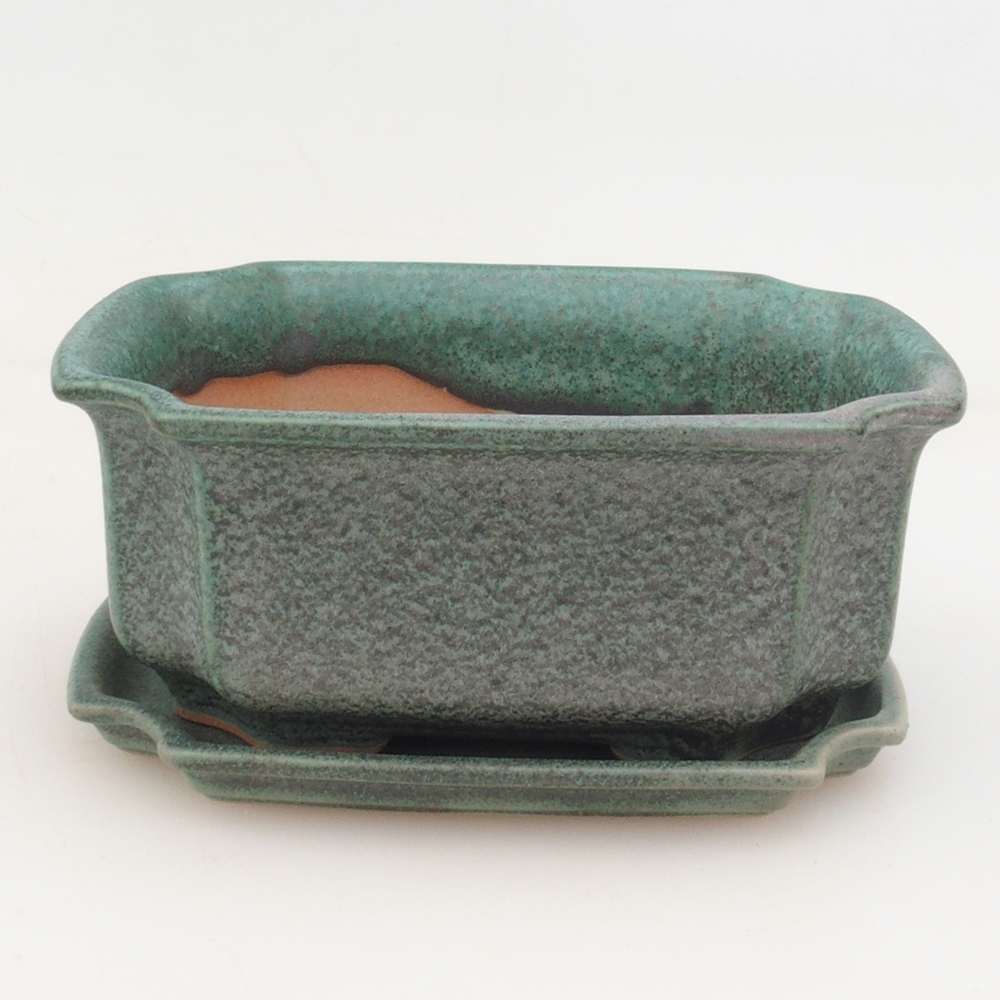 Bonsai-Schale + Untertasse H01 – Grün