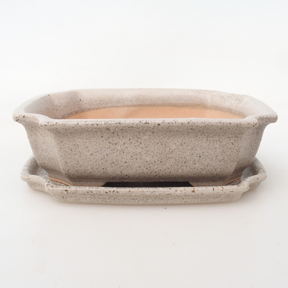 Bonsai-Schale + Untertasse H01 – 12 x 9 x 5 cm