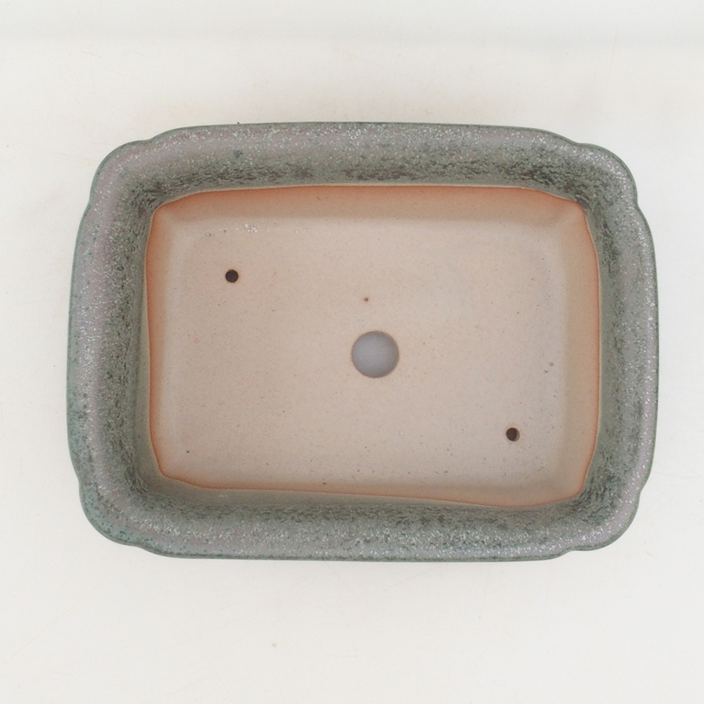Bonsai-Untertasse H50 – 17 x 12,5 x 5,5 cm – grün