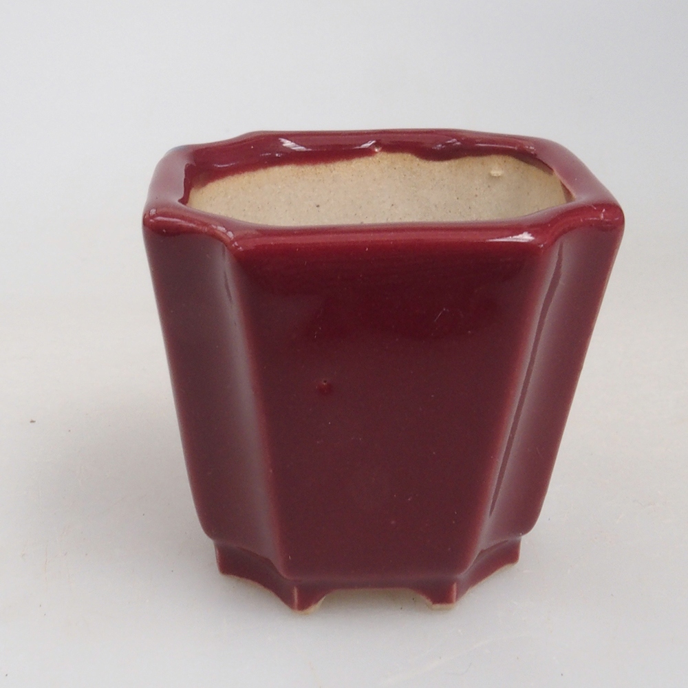 Mini-Bonsaischale 4 x 4 x 4 cm, Farbe Burgunder