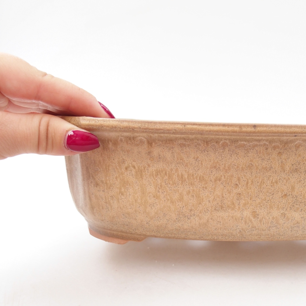 Keramik-Bonsaischale 24,5 x 21 x 7 cm, Farbe beige