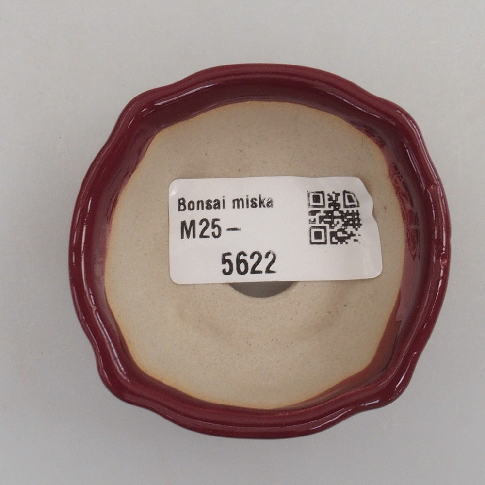 Mini-Bonsaischale 6 x 6 x 2,5 cm, Farbe Burgunder