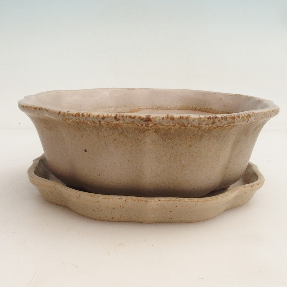 Bonsai-Schale + Untertasse H06 – 14,5 x 14,5 x 5 cm – beige