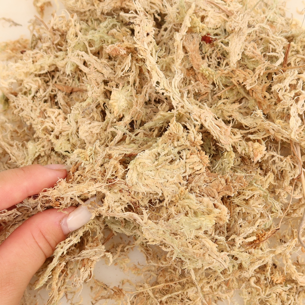 Sphagnum – Torfmoos 150 g