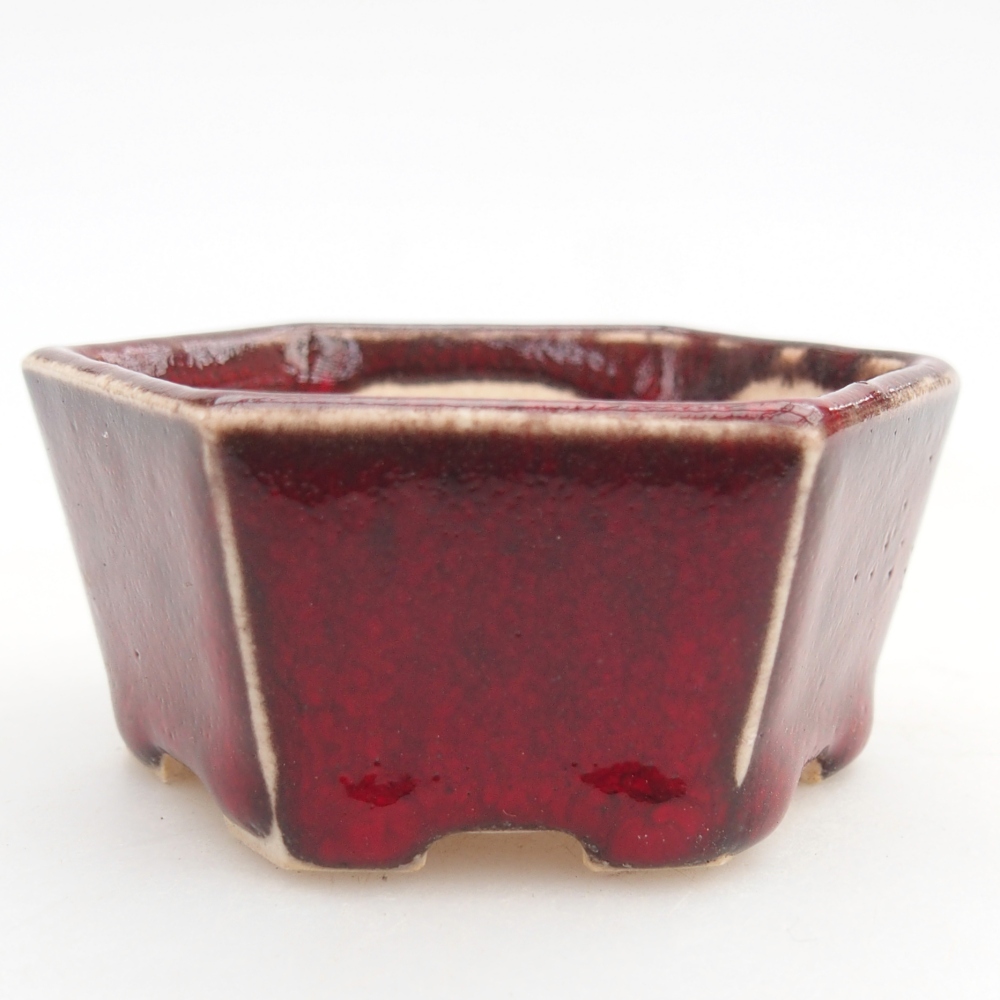 Mini-Bonsaischale 6 x 5,5 x 3 cm, Farbe rot