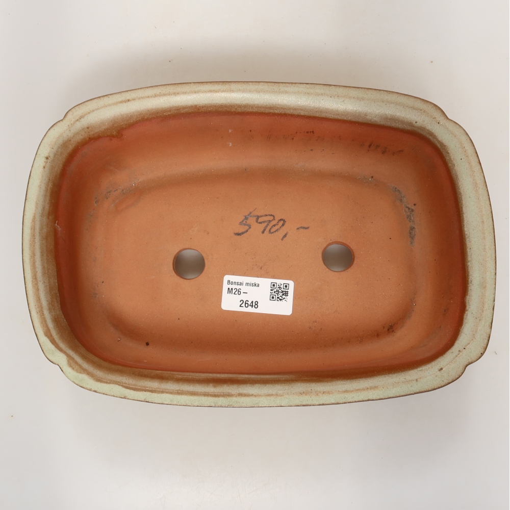 Keramikschale  24,5 x 17,5 x 6 cm , Farbe: Beige