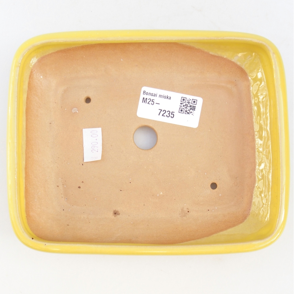 Bonsaischale aus Keramik 16,5 x 13,5 x 3,5 cm, gelb