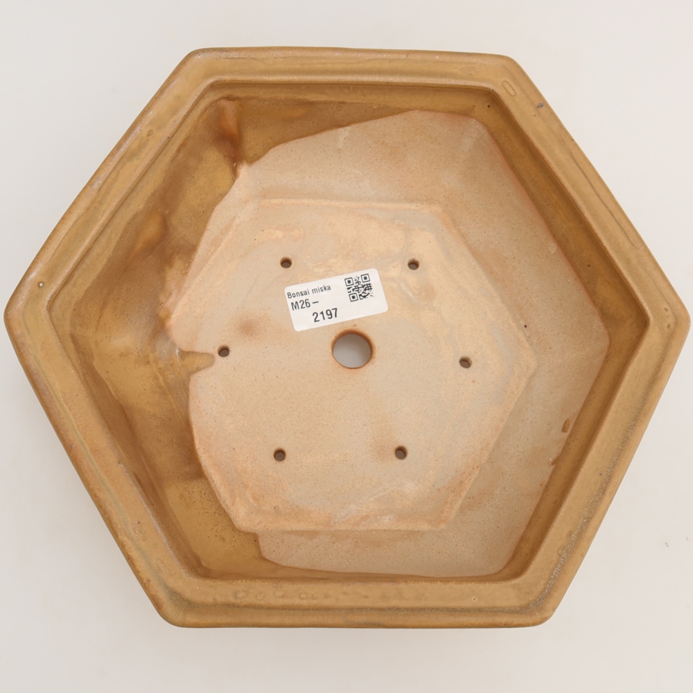 Keramik-Bonsai-Schale 24 x 21,5 x 7,5 cm, Farbe: Beige